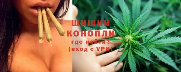 шишки Алзамай